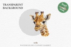 African Baby Giraffe Safari Animals Clipart Savanna PNG Art Image Watercolor  Transparent Print invitation t-shirt designs sublimation kids printable digital watercolor cute African Baby Giraffe, Safari Animals clipart, sublimation nursery drawing Savanna