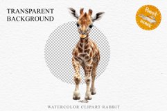 African Baby Giraffe Safari Animals Clipart Savanna PNG Art Image Watercolor  Transparent Print invitation t-shirt designs sublimation kids printable digital watercolor cute African Baby Giraffe, Safari Animals clipart, sublimation nursery drawing Savanna