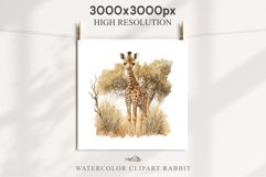 African Baby Giraffe Safari Animals Clipart Savanna PNG Art Image Watercolor  Transparent Print invitation t-shirt designs sublimation kids printable digital watercolor cute African Baby Giraffe, Safari Animals clipart, sublimation nursery drawing Savanna