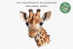 African Baby Giraffe Safari Animals Clipart Savanna PNG Art Image Watercolor  Transparent Print invitation t-shirt designs sublimation kids printable digital watercolor cute African Baby Giraffe, Safari Animals clipart, sublimation nursery drawing Savanna