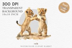 watercolor African Lion, Safari Animals clipart, sublimation nursery drawing, Savanna baby lions cat African Baby Lion Safari Animals Clipart Wild Cats Savanna PNG Image Watercolor  Transparent Print invitation t-shirt designs sublimation kids printable
