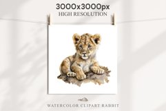 African Baby Lion Safari Animals Clipart Wild Cats Savanna PNG Image Watercolor  Transparent Print invitation t-shirt designs sublimation kids printable digital watercolor African Lion, Safari Animals clipart, sublimation nursery drawing, Savanna baby lio