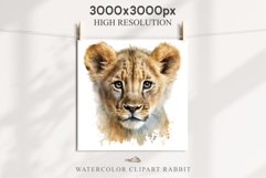 African Baby Lion Safari Animals Clipart Wild Cats Savanna PNG Image Watercolor  Transparent Print invitation t-shirt designs sublimation kids printable digital watercolor African Lion, Safari Animals clipart, sublimation nursery drawing, Savanna baby lio