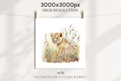 African Baby Lion Safari Animals Clipart Wild Cats Savanna PNG Image Watercolor  Transparent Print invitation t-shirt designs sublimation kids printable digital watercolor African Lion, Safari Animals clipart, sublimation nursery drawing, Savanna baby lio