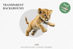 African Baby Lion Safari Animals Clipart Wild Cats Savanna PNG Image Watercolor  Transparent Print invitation t-shirt designs sublimation kids printable digital watercolor African Lion, Safari Animals clipart, sublimation nursery drawing, Savanna baby lio