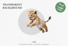 African Baby Lion Safari Animals Clipart Wild Cats Savanna PNG Image Watercolor  Transparent Print invitation t-shirt designs sublimation kids printable digital watercolor African Lion, Safari Animals clipart, sublimation nursery drawing, Savanna baby lio