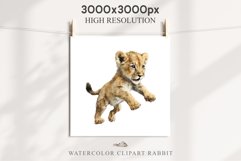 African Baby Lion Safari Animals Clipart Wild Cats Savanna PNG Image Watercolor  Transparent Print invitation t-shirt designs sublimation kids printable digital watercolor African Lion, Safari Animals clipart, sublimation nursery drawing, Savanna baby lio