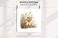 African Baby Lion Safari Animals Clipart Wild Cats Savanna PNG Image Watercolor  Transparent Print invitation t-shirt designs sublimation kids printable digital watercolor African Lion, Safari Animals clipart, sublimation nursery drawing, Savanna baby lio