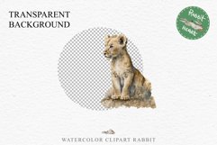 African Baby Lion Safari Animals Clipart Wild Cats Savanna PNG Image Watercolor  Transparent Print invitation t-shirt designs sublimation kids printable digital watercolor African Lion, Safari Animals clipart, sublimation nursery drawing, Savanna baby lio