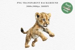 African Baby Lion Safari Animals Clipart Wild Cats Savanna PNG Image Watercolor  Transparent Print invitation t-shirt designs sublimation kids printable digital watercolor African Lion, Safari Animals clipart, sublimation nursery drawing, Savanna baby lio