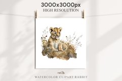 African Baby Lion Safari Animals Clipart Wild Cats Savanna PNG Image Watercolor  Transparent Print invitation t-shirt designs sublimation kids printable digital watercolor African Lion, Safari Animals clipart, sublimation nursery drawing, Savanna baby lio