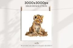 African Baby Lion Safari Animals Clipart Wild Cats Savanna PNG Image Watercolor  Transparent Print invitation t-shirt designs sublimation kids printable digital watercolor African Lion, Safari Animals clipart, sublimation nursery drawing, Savanna baby lio