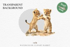 African Baby Lion Safari Animals Clipart Wild Cats Savanna PNG Image Watercolor  Transparent Print invitation t-shirt designs sublimation kids printable digital watercolor African Lion, Safari Animals clipart, sublimation nursery drawing, Savanna baby lio