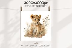 African Baby Lion Safari Animals Clipart Wild Cats Savanna PNG Image Watercolor  Transparent Print invitation t-shirt designs sublimation kids printable digital