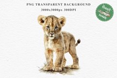 African Baby Lion Safari Animals Clipart Wild Cats Savanna PNG Image Watercolor  Transparent Print invitation t-shirt designs sublimation kids printable digital watercolor African Lion, Safari Animals clipart, sublimation nursery drawing, Savanna baby lio