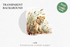 African Baby Lion Safari Animals Clipart Wild Cats Savanna PNG Image Watercolor  Transparent Print invitation t-shirt designs sublimation kids printable digital watercolor African Lion, Safari Animals clipart, sublimation nursery drawing, Savanna baby lio