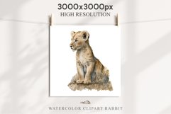 African Baby Lion Safari Animals Clipart Wild Cats Savanna PNG Image Watercolor  Transparent Print invitation t-shirt designs sublimation kids printable digital watercolor African Lion, Safari Animals clipart, sublimation nursery drawing, Savanna baby lio