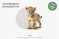 African Baby Lion Safari Animals Clipart Wild Cats Savanna PNG Image Watercolor  Transparent Print invitation t-shirt designs sublimation kids printable digital watercolor African Lion, Safari Animals clipart, sublimation nursery drawing, Savanna baby lio