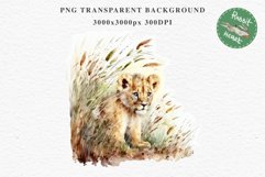 African Baby Lion Safari Animals Clipart Wild Cats Savanna PNG Image Watercolor  Transparent Print invitation t-shirt designs sublimation kids printable digital watercolor African Lion, Safari Animals clipart, sublimation nursery drawing, Savanna baby lio