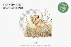 African Baby Lion Safari Animals Clipart Wild Cats Savanna PNG Image Watercolor  Transparent Print invitation t-shirt designs sublimation kids printable digital watercolor African Lion, Safari Animals clipart, sublimation nursery drawing, Savanna baby lio