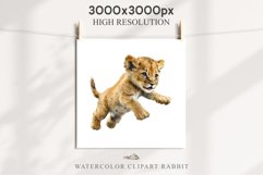 African Baby Lion Safari Animals Clipart Wild Cats Savanna PNG Image Watercolor  Transparent Print invitation t-shirt designs sublimation kids printable digital watercolor African Lion, Safari Animals clipart, sublimation nursery drawing, Savanna baby lio
