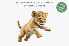 African Baby Lion Safari Animals Clipart Wild Cats Savanna PNG Image Watercolor  Transparent Print invitation t-shirt designs sublimation kids printable digital watercolor African Lion, Safari Animals clipart, sublimation nursery drawing, Savanna baby lio