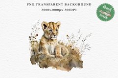 African Baby Lion Safari Animals Clipart Wild Cats Savanna PNG Image Watercolor  Transparent Print invitation t-shirt designs sublimation kids printable digital watercolor African Lion, Safari Animals clipart, sublimation nursery drawing, Savanna baby lio