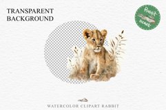 African Baby Lion Safari Animals Clipart Wild Cats Savanna PNG Image Watercolor  Transparent Print invitation t-shirt designs sublimation kids printable digital