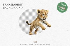 African Baby Lion Safari Animals Clipart Wild Cats Savanna PNG Image Watercolor  Transparent Print invitation t-shirt designs sublimation kids printable digital watercolor African Lion, Safari Animals clipart, sublimation nursery drawing, Savanna baby lio