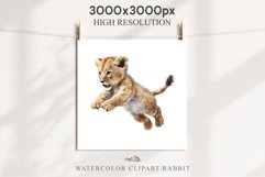 African Baby Lion Safari Animals Clipart Wild Cats Savanna PNG Image Watercolor  Transparent Print invitation t-shirt designs sublimation kids printable digital watercolor African Lion, Safari Animals clipart, sublimation nursery drawing, Savanna baby lio