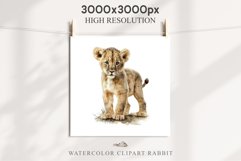African Baby Lion Safari Animals Clipart Wild Cats Savanna PNG Image Watercolor  Transparent Print invitation t-shirt designs sublimation kids printable digital watercolor African Lion, Safari Animals clipart, sublimation nursery drawing, Savanna baby lio