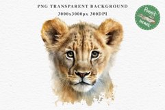 African Baby Lion Safari Animals Clipart Wild Cats Savanna PNG Image Watercolor  Transparent Print invitation t-shirt designs sublimation kids printable digital watercolor African Lion, Safari Animals clipart, sublimation nursery drawing, Savanna baby lio