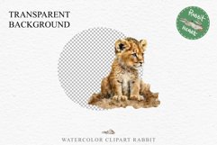 African Baby Lion Safari Animals Clipart Wild Cats Savanna PNG Image Watercolor  Transparent Print invitation t-shirt designs sublimation kids printable digital watercolor African Lion, Safari Animals clipart, sublimation nursery drawing, Savanna baby lio