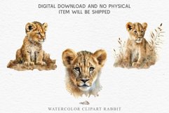 watercolor African Lion, Safari Animals clipart, sublimation nursery drawing, Savanna baby lions cat African Baby Lion Safari Animals Clipart Wild Cats Savanna PNG Image Watercolor  Transparent Print invitation t-shirt designs sublimation kids printable