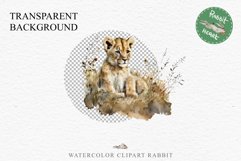 African Baby Lion Safari Animals Clipart Wild Cats Savanna PNG Image Watercolor  Transparent Print invitation t-shirt designs sublimation kids printable digital watercolor African Lion, Safari Animals clipart, sublimation nursery drawing, Savanna baby lio