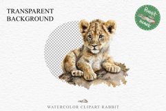 African Baby Lion Safari Animals Clipart Wild Cats Savanna PNG Image Watercolor  Transparent Print invitation t-shirt designs sublimation kids printable digital watercolor African Lion, Safari Animals clipart, sublimation nursery drawing, Savanna baby lio