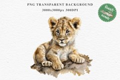 African Baby Lion Safari Animals Clipart Wild Cats Savanna PNG Image Watercolor  Transparent Print invitation t-shirt designs sublimation kids printable digital watercolor African Lion, Safari Animals clipart, sublimation nursery drawing, Savanna baby lio