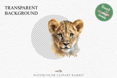 African Baby Lion Safari Animals Clipart Wild Cats Savanna PNG Image Watercolor  Transparent Print invitation t-shirt designs sublimation kids printable digital watercolor African Lion, Safari Animals clipart, sublimation nursery drawing, Savanna baby lio