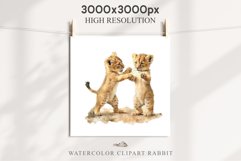African Baby Lion Safari Animals Clipart Wild Cats Savanna PNG Image Watercolor  Transparent Print invitation t-shirt designs sublimation kids printable digital watercolor African Lion, Safari Animals clipart, sublimation nursery drawing, Savanna baby lio