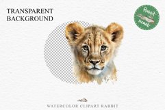 African Baby Lion Safari Animals Clipart Wild Cats Savanna PNG Image Watercolor  Transparent Print invitation t-shirt designs sublimation kids printable digital watercolor African Lion, Safari Animals clipart, sublimation nursery drawing, Savanna baby lio