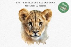 African Baby Lion Safari Animals Clipart Wild Cats Savanna PNG Image Watercolor  Transparent Print invitation t-shirt designs sublimation kids printable digital watercolor African Lion, Safari Animals clipart, sublimation nursery drawing, Savanna baby lio