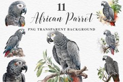 watercolor cute African grey parrot, Safari birds bird clipart, sublimation nursery drawing Savanna African Grey Parrot Birds Clipart Savanna PNG Nursery Art Image Watercolor  Transparent Print invitation t-shirt designs sublimation kids printable digital