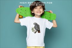 watercolor cute African grey parrot, Safari birds bird clipart, sublimation nursery drawing Savanna African Grey Parrot Birds Clipart Savanna PNG Nursery Art Image Watercolor  Transparent Print invitation t-shirt designs sublimation kids printable digital