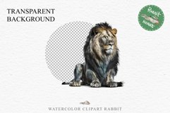 African Lion Safari Animals Clipart Wild Cats Savanna PNG Image Watercolor  Transparent Print for invitation t-shirt designs sublimation kids printable digital watercolor African Lion, Safari Animals clipart, sublimation nursery drawing, Savanna baby lion