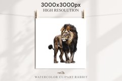African Lion Safari Animals Clipart Wild Cats Savanna PNG Image Watercolor  Transparent Print for invitation t-shirt designs sublimation kids printable digital watercolor African Lion, Safari Animals clipart, sublimation nursery drawing, Savanna baby lion