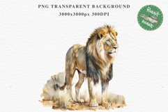 African Lion Safari Animals Clipart Wild Cats Savanna PNG Image Watercolor  Transparent Print for invitation t-shirt designs sublimation kids printable digital watercolor African Lion, Safari Animals clipart, sublimation nursery drawing, Savanna baby lion