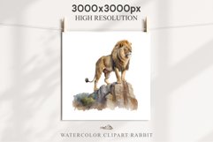 African Lion Safari Animals Clipart Wild Cats Savanna PNG Image Watercolor  Transparent Print for invitation t-shirt designs sublimation kids printable digital watercolor African Lion, Safari Animals clipart, sublimation nursery drawing, Savanna baby lion