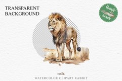 African Lion Safari Animals Clipart Wild Cats Savanna PNG Image Watercolor  Transparent Print for invitation t-shirt designs sublimation kids printable digital watercolor African Lion, Safari Animals clipart, sublimation nursery drawing, Savanna baby lion