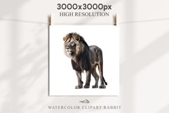 African Lion Safari Animals Clipart Wild Cats Savanna PNG Image Watercolor  Transparent Print for invitation t-shirt designs sublimation kids printable digital watercolor African Lion, Safari Animals clipart, sublimation nursery drawing, Savanna baby lion