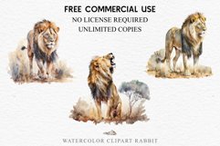 watercolor African Lion, Safari Animals clipart, sublimation nursery drawing, Savanna baby lions cat
